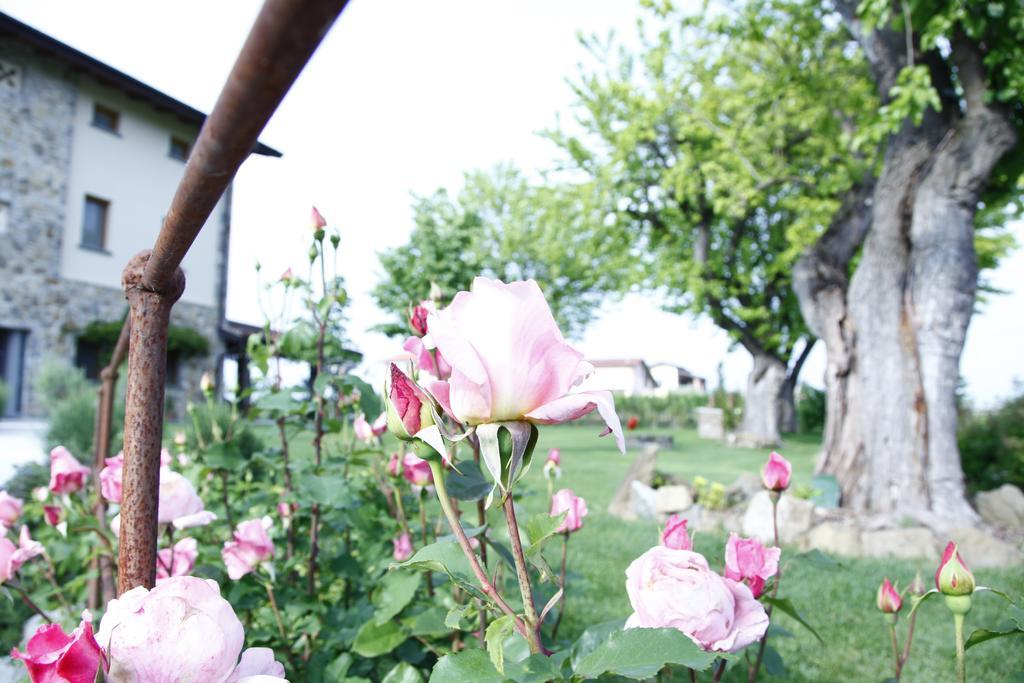 Massoni Bed And Breakfast Peschiera del Garda Kültér fotó
