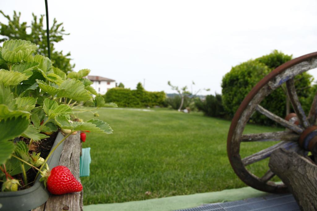 Massoni Bed And Breakfast Peschiera del Garda Kültér fotó